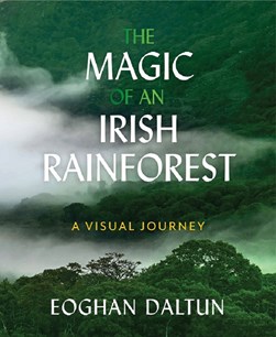 The magic of an Irish rainforest by Eoghan Daltun