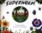 Superworm P/B N/E by Julia Donaldson