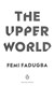 The upper world by Femi Fadugba