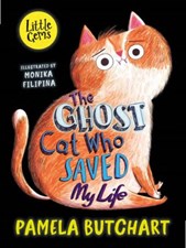 The ghost cat who saved my life (Barrington Stokes)