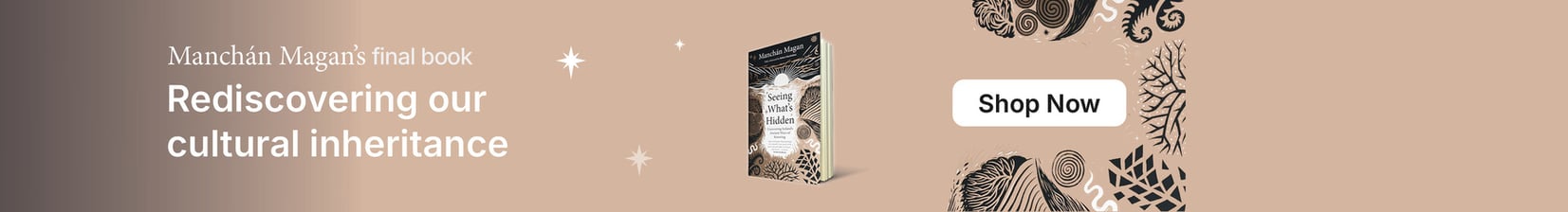 banner for Seeing What's Hidden book by Manchán Magan