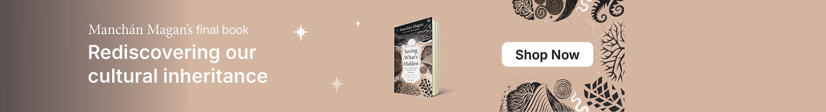 Seeing What's Hidden book by Manchán Magan