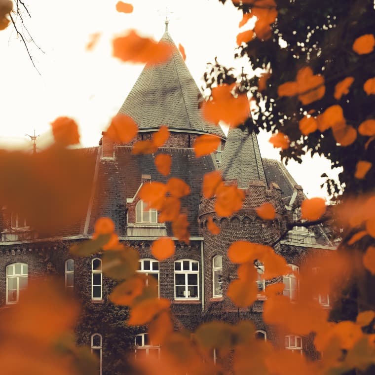 Dark Academia & School Mysteries book curation for teens