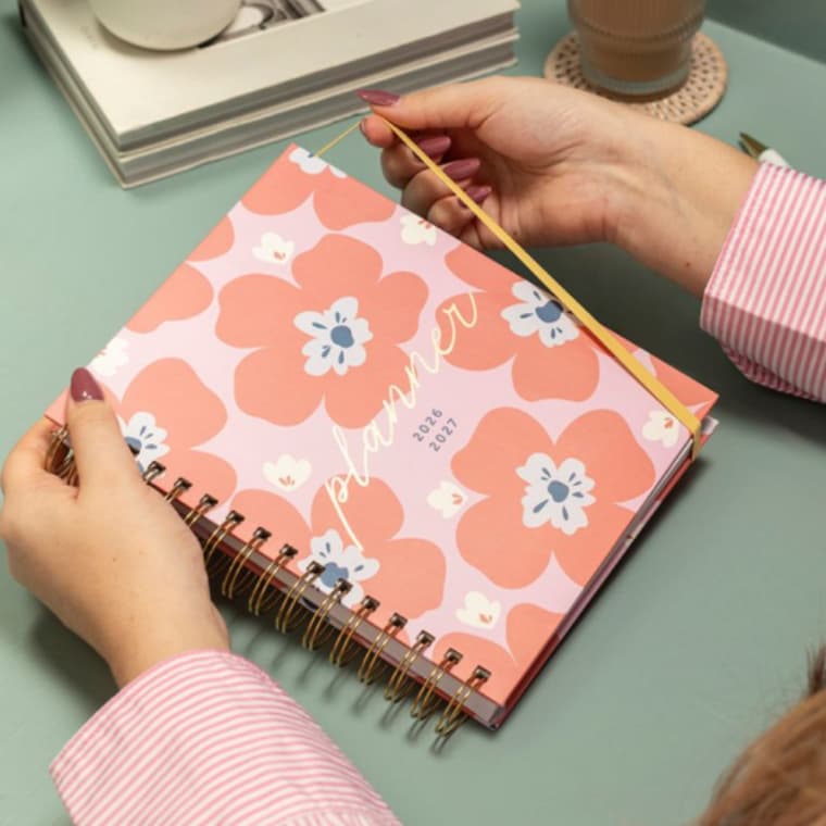 Mid-Year Diaries