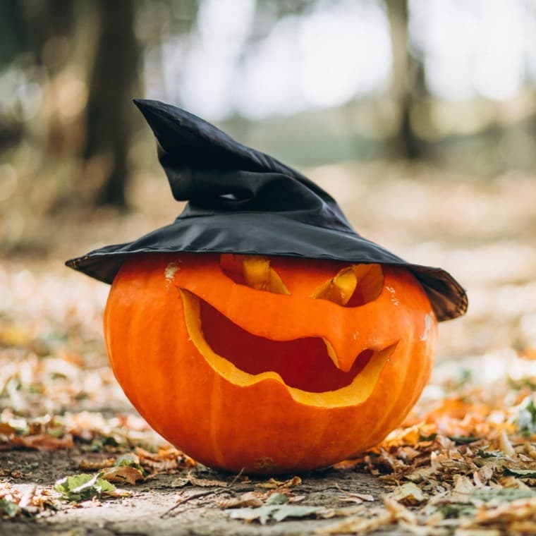 Banner for children's Halloween books - Photo of jack-o-lantern halloween pumpkin with witches hat