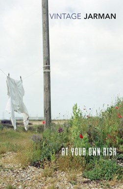 At Your Own Risk P/B by Derek Jarman