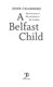 A Belfast child by John Chambers