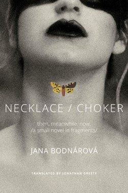 Necklace/choker by Jana Bodnárová