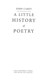 A Little History of Poetry H/B by John Carey
