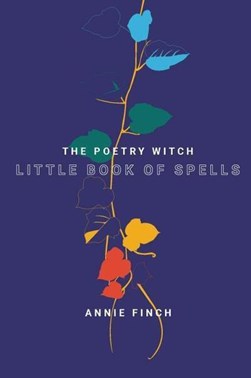 The poetry witch by Annie Finch