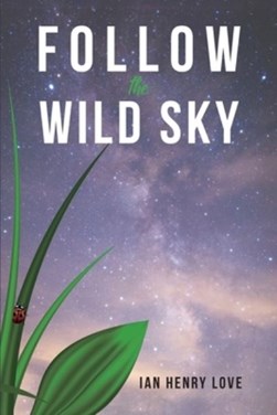Follow the wild sky by Ian Henry Love