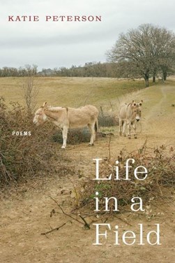 Life in a field by Katie Peterson
