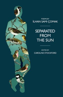 Separated from the Sun by Ilhan Çomak