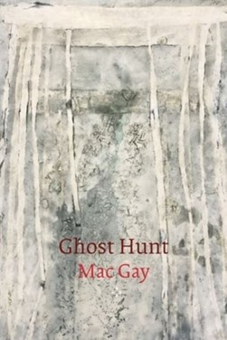 Ghost Hunt by Mac Gay