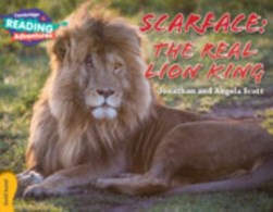 Scarface - the real lion king by Jonathan Scott