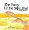 The busy little squirrel by Nancy Tafuri