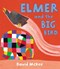 Elmer and the big bird by David McKee