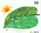 The very hungry caterpillar by Eric Carle