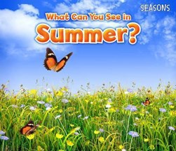What can you see in summer? by Siân Smith