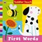 Ladybird Toddler Touch First Words Board B by Ruth Redford