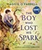 The boy who lost his spark by Maggie O'Farrell
