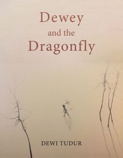 Dewey and the dragonfly by Dewi Tudur