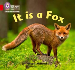 It is a fox by Alison Milford