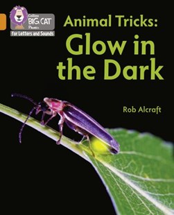 Glow in the dark by Rob Alcraft