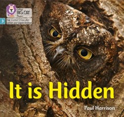 It is hidden by Paul Harrison