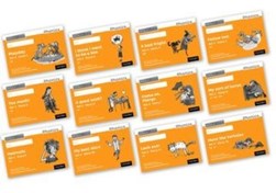 Read Write Inc. Phonics: Orange Set 4 Core Black & White Storybooks (Mixed Pack of 12) by Gill Munton