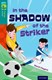 In the shadow of the striker by David Clayton