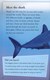 Sharks by Anita Ganeri
