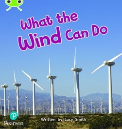 What the wind can do by Lucy Smith