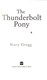 Thunderbolt Pony P/B by Stacy Gregg