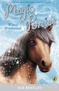 Winter wonderland by Sue Bentley