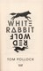 White rabbit, red wolf by Tom Pollock