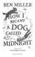 How I Became A Dog Called Midnight P/B by Ben Miller
