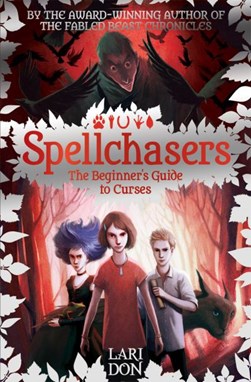 The beginner's guide to curses by Lari Don