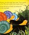 Norman, the slug with the silly shell by Sue Hendra