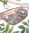 Goodnight, Little Sloth by A. J. Wood