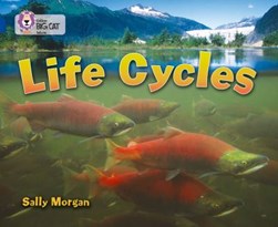 Life cycles by Sally Morgan