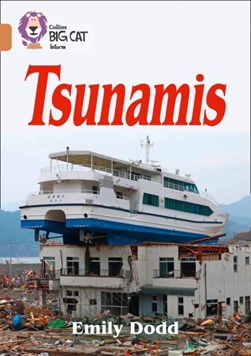Tsunamis by Emily Dodd