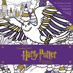 Harry Potter: Winter at Hogwarts: A Magical Colouring Set by Insight Editions