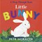 Little Bunny by Petr Horácek