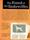 The pound of the Baskervilles & other mysteries for you to solve by Sally Morgan
