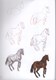 How to draw horses in simple steps by Eva Dutton