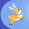 What is reindeer going to do? by Carly Madden