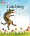 Catching flies by June Crebbin