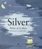 Silver by Carolina Rabei