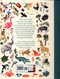 A world full of animal stories by Angela McAllister